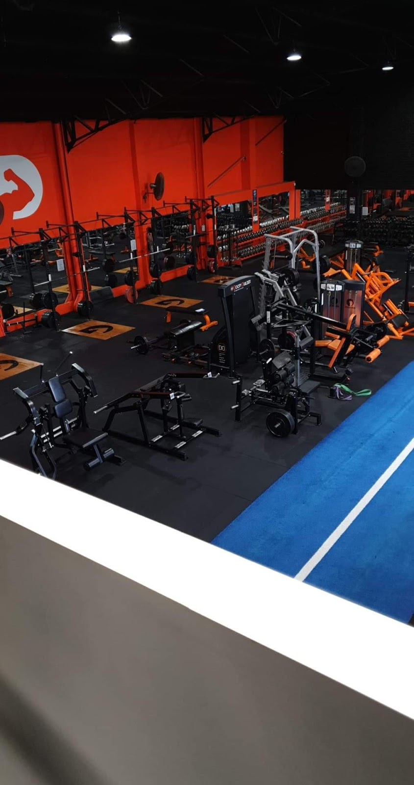 Definition Fitness Training | gym | 56-58 Swan St, Wollongong NSW 2500, Australia | 0242269143 OR +61 2 4226 9143