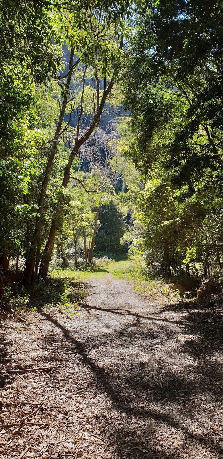 Gales Flat Meryla Pass | campground | Meryla NSW 2577, Australia