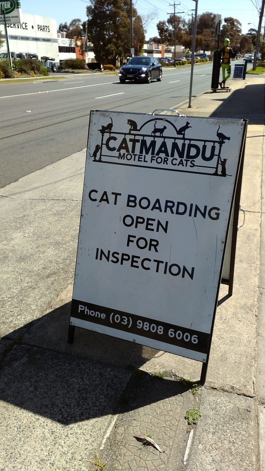 Catmandu Motel for Cats | veterinary care | 119 Highbury Rd, Burwood VIC 3125, Australia | 0398086006 OR +61 3 9808 6006