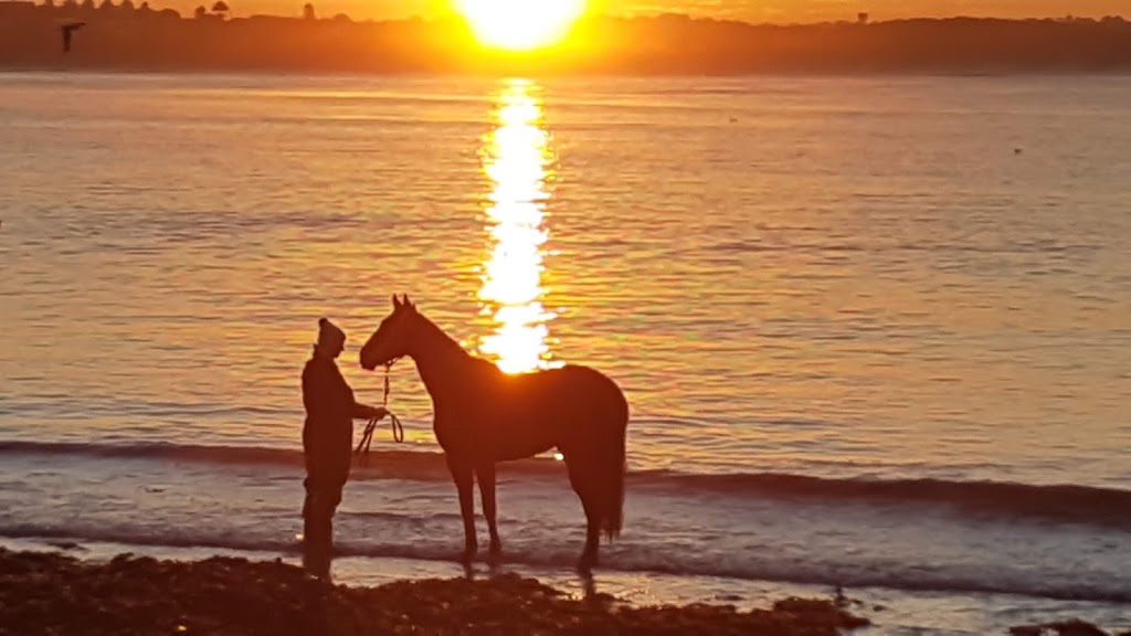 Lady Bay Warrnambool | store | Worm Bay Rd, Warrnambool VIC 3280, Australia