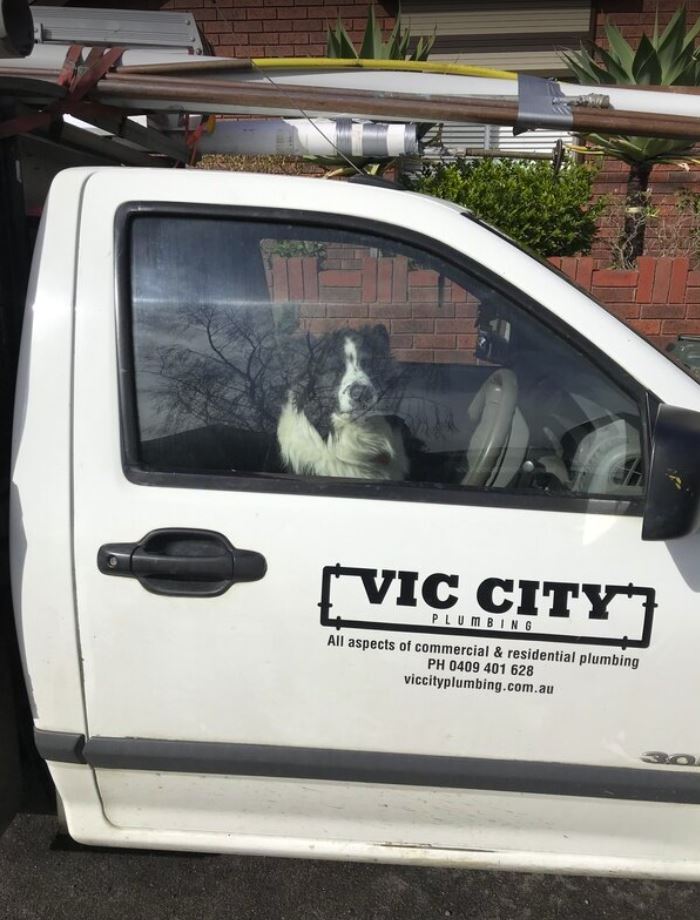 Vic City Plumbing | plumber | Mary St, Richmond VIC 3121, Australia | 0409401628 OR +61 409 401 628
