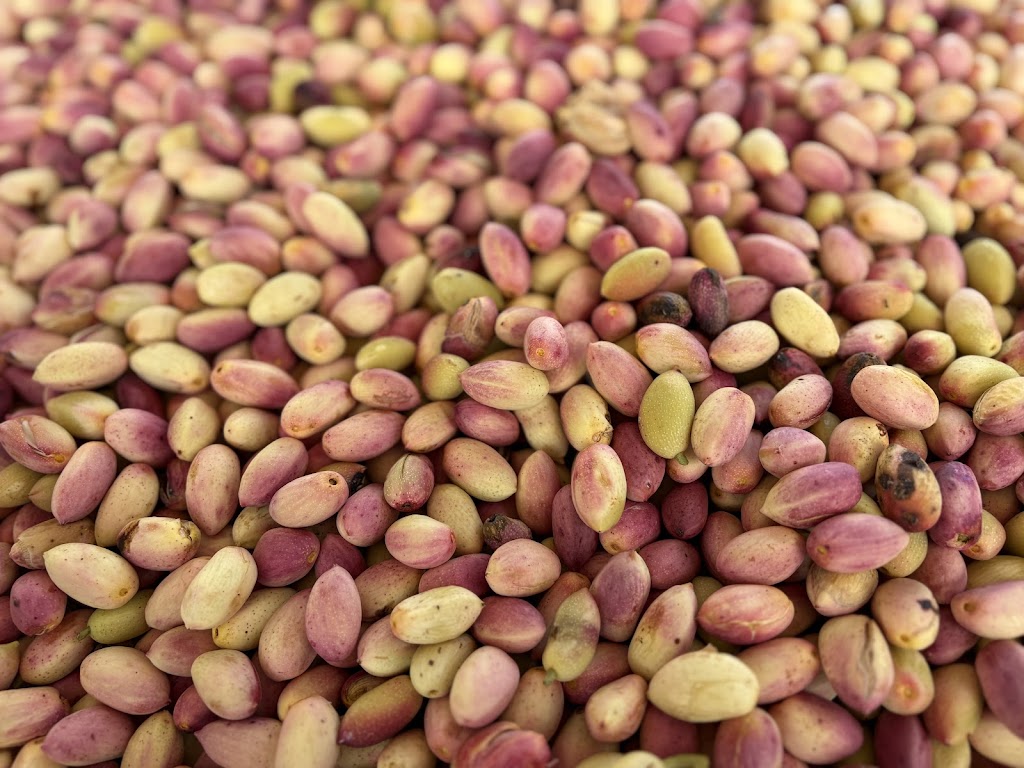 Sunny Boy Nuts | 583 N S Rd, Beverford VIC 3590, Australia | Phone: 0428 174 574