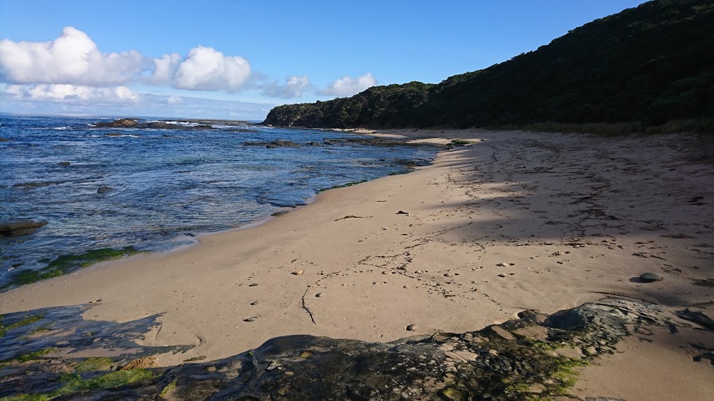 Seal Point | tourist attraction | Otway Lighthouse Rd, Cape Otway VIC 3233, Australia | 131963 OR +61 131963