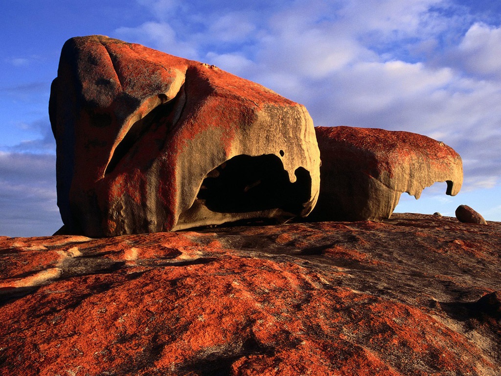 Flinders Chase National Park | park | S Coast Rd, Flinders Chase SA 5223, Australia | 0885534450 OR +61 8 8553 4450