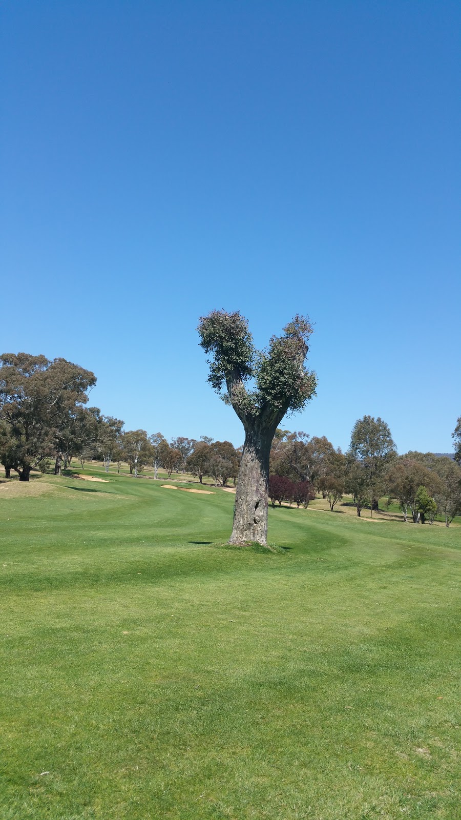 Murrumbidgee Country Club | Golf Club House, 161 Kambah Pool Rd, Kambah ACT 2902, Australia | Phone: (02) 6296 2888