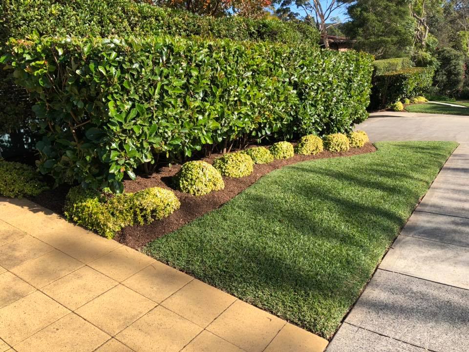 Osborne Landscaping | Servicing all Southern Highlands, Bowral, Mittagong, Moss Vale, Burrawang Robertson, Bundanoon, Exeter, Colo Vale, Berrima, Wingello, Penrose, Bargo Sutton Forest, Yerrinbool, Hill Top, High Range, 89 Sir James Fairfax Cct, Bowral NSW 2576, Australia | Phone: 0401 212 198