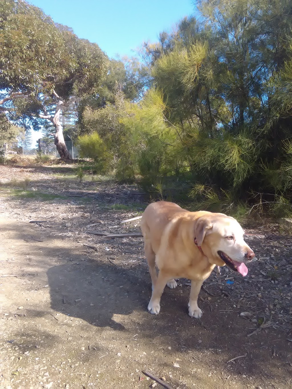 North Haven Golf Club | Lady Ruthven Dr, North Haven SA 5018, Australia | Phone: (08) 8248 3832