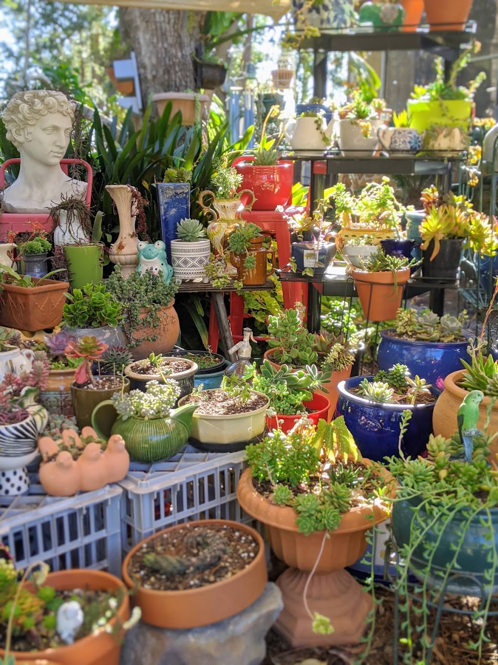 Jennies Garden Shop | 64 Emu Rd, Glenbrook NSW 2773, Australia