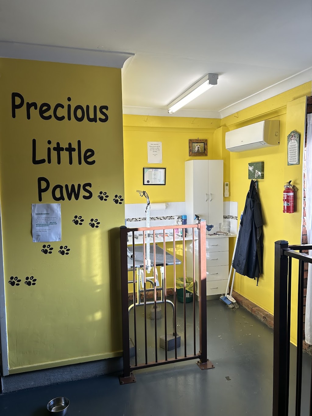 Precious Little Paws | 33 Peugeot Dr, Ingleburn NSW 2565, Australia | Phone: 0425 301 880