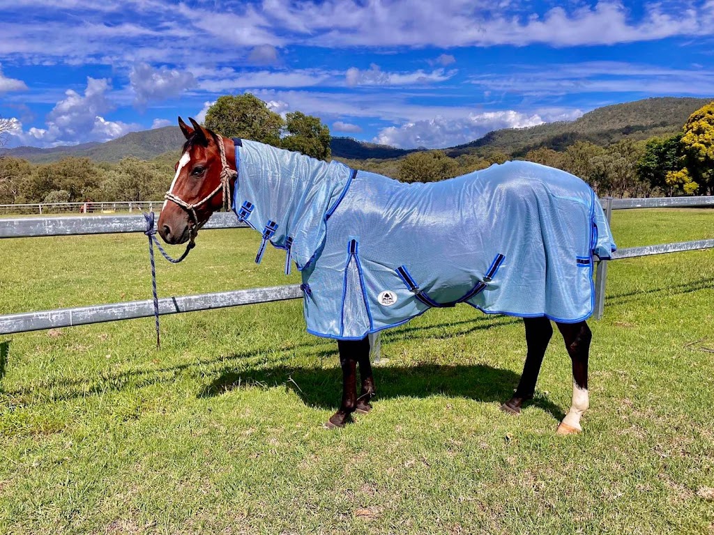 Oatis and Honey - Horse Rugs | 523 Toowoomba Karara Rd, Wyreema QLD 4352, Australia | Phone: 0416 012 208
