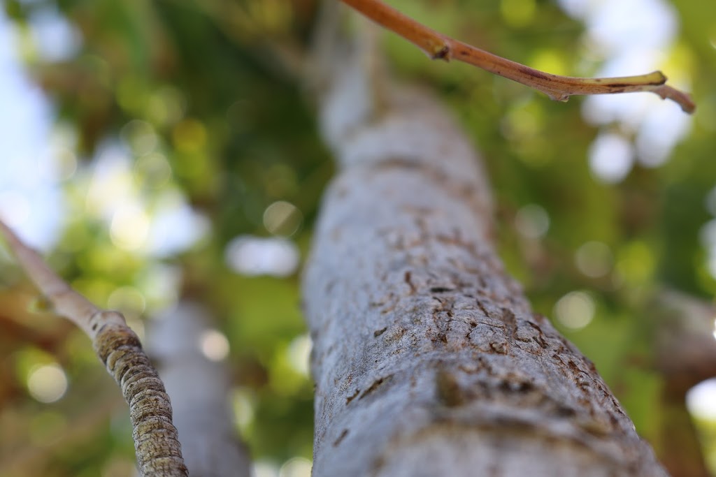 Amethyst Park | Edgecombe Pass, Aveley WA 6069, Australia