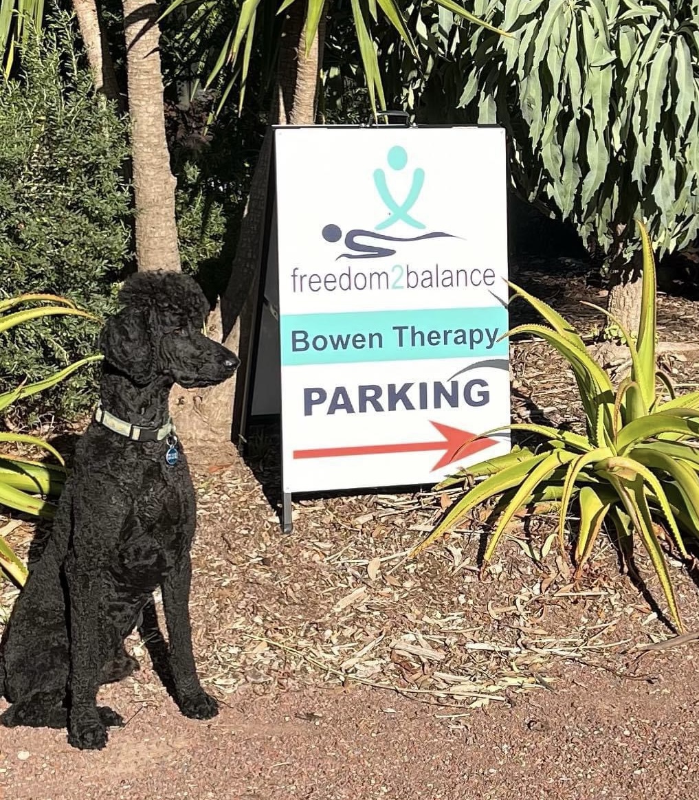 Freedom2balance Bowen therapy | 600 Flinders Ave, Lara VIC 3212, Australia | Phone: 0416 122 825