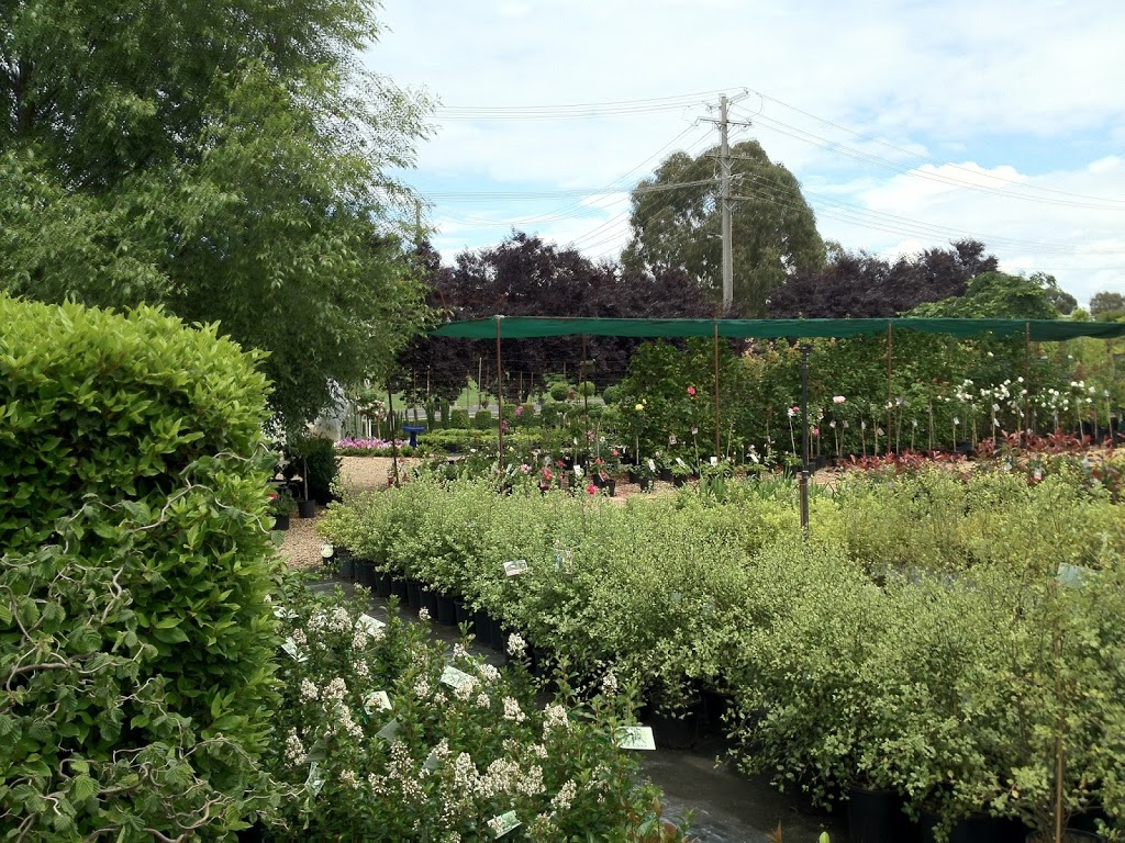 Riverside Nursery | store | 183 Morrisset St, Bathurst NSW 2795, Australia | 0263313121 OR +61 2 6331 3121