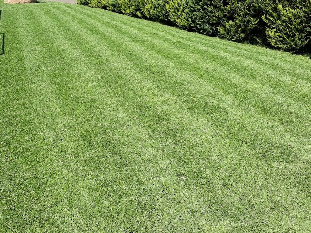 Fast Grass | Spray on Lawn Specialists | 1 Junction Rd, Littlehampton SA 5250, Australia | Phone: 0419 855 019