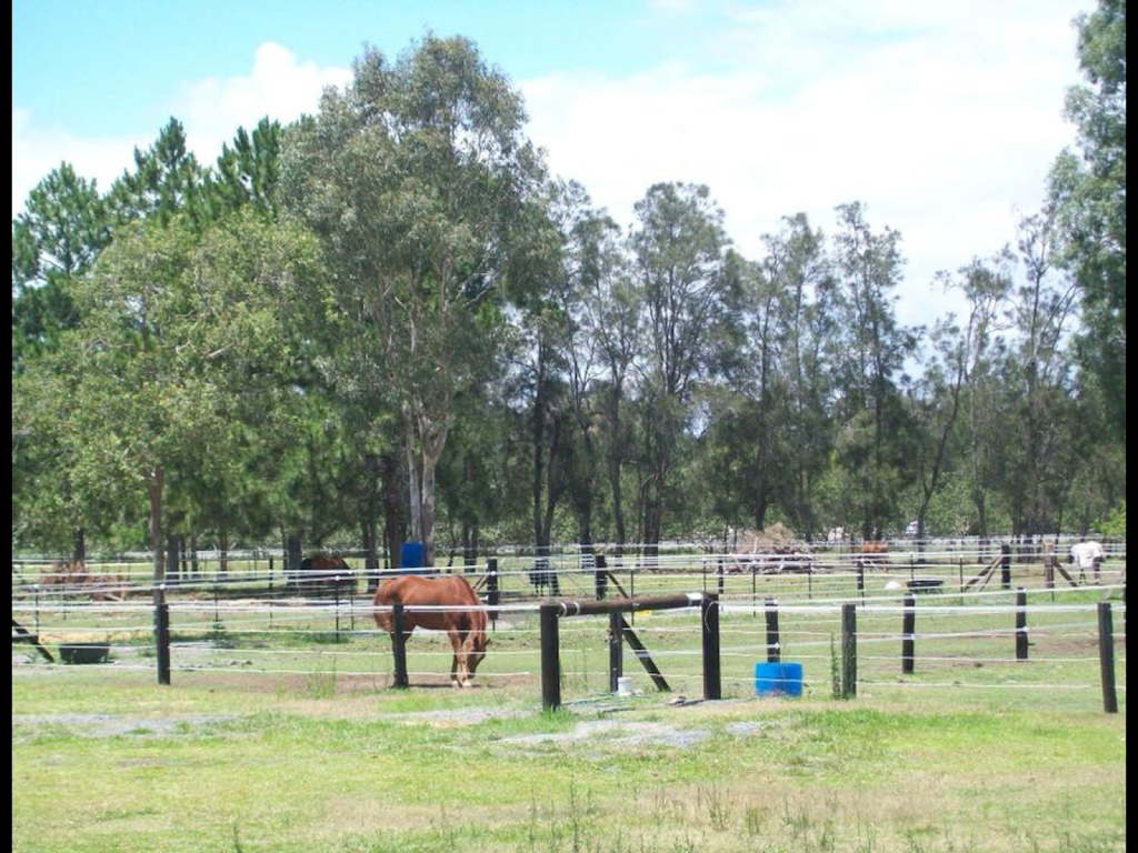 Kobas Farm and Agistment Centre | 256 Beachmere Rd, Beachmere QLD 4510, Australia | Phone: 0438 741 630