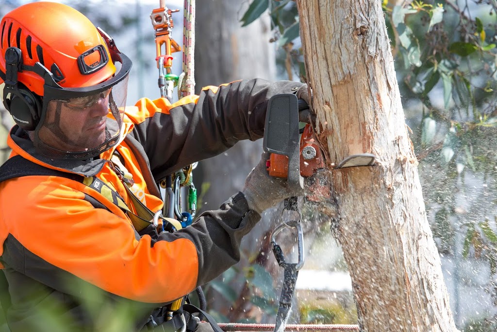 Charlie’s Tree Service | 731 Leslie Rd, Leslie Vale TAS 7054, Australia | Phone: 0428 246 211