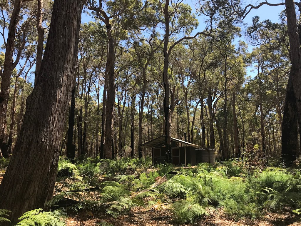 Jarrahdene campground | campground | Jarrahdene Rd, Boranup WA 6286, Australia | 0897525555 OR +61 8 9752 5555