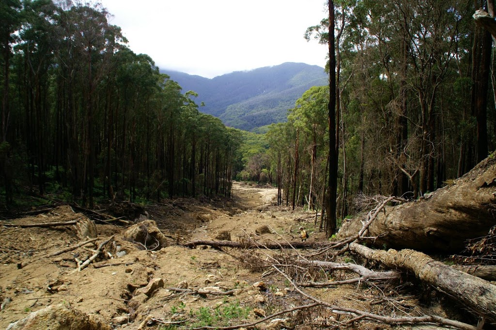 Camp Ground Area | 4th Ave, Tidal River VIC 3960, Australia