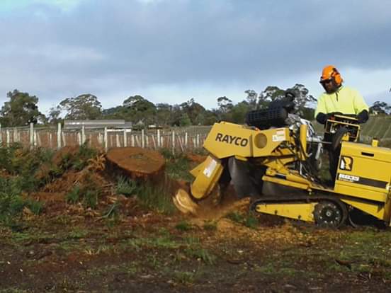 Martins Stump Removal | 2 High Sunderland Cres, Dromedary TAS 7030, Australia | Phone: 0427 667 790