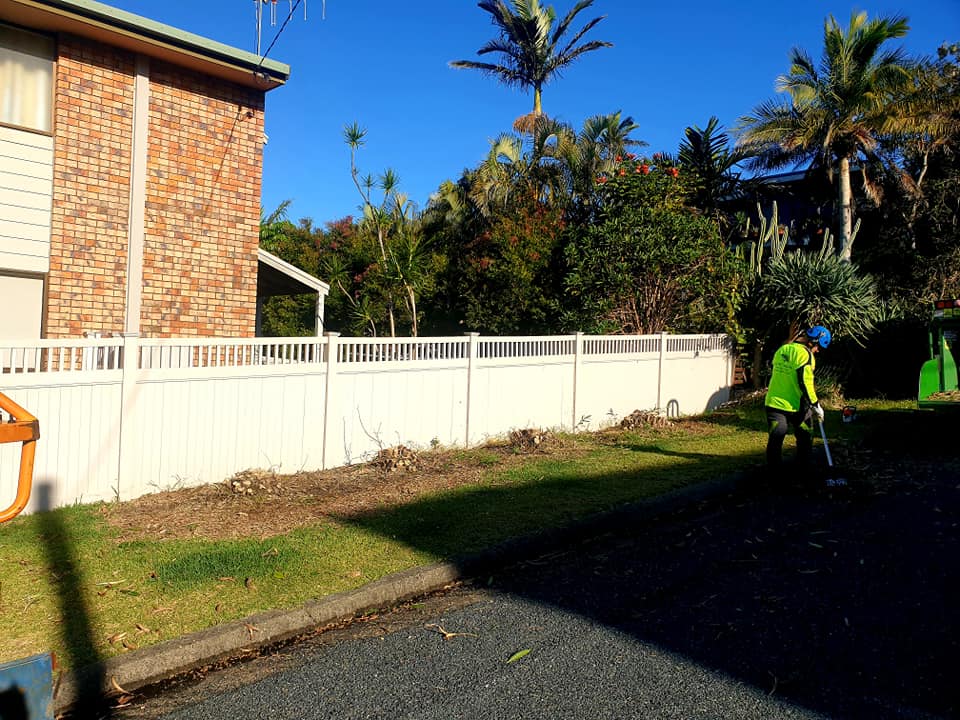 Silver Fern Tree Services | Phar Lap Cct, Port Macquarie NSW 2444, Australia | Phone: 0401 806 329