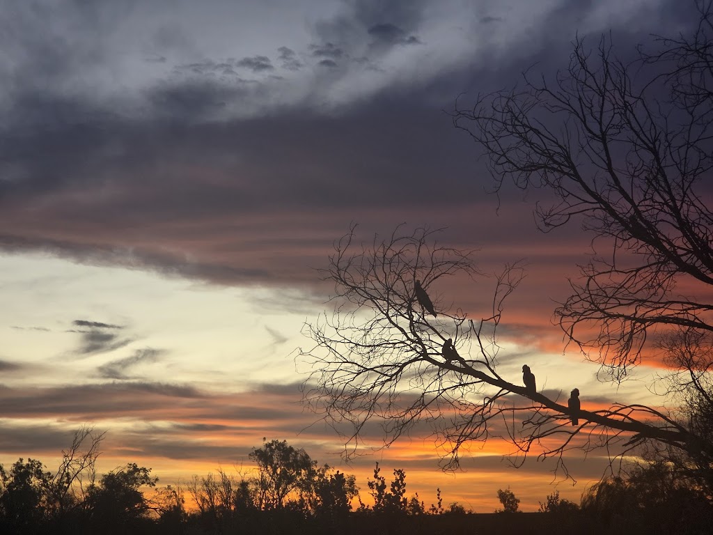 Coward Springs Campground | Stuarts Creek SA 5720, Australia | Phone: (08) 8675 8336