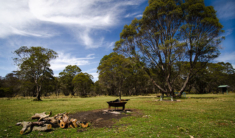 Little Murray campground | campground | Kholwha Trail, Barrington Tops NSW 2422, Australia | 0265385300 OR +61 2 6538 5300