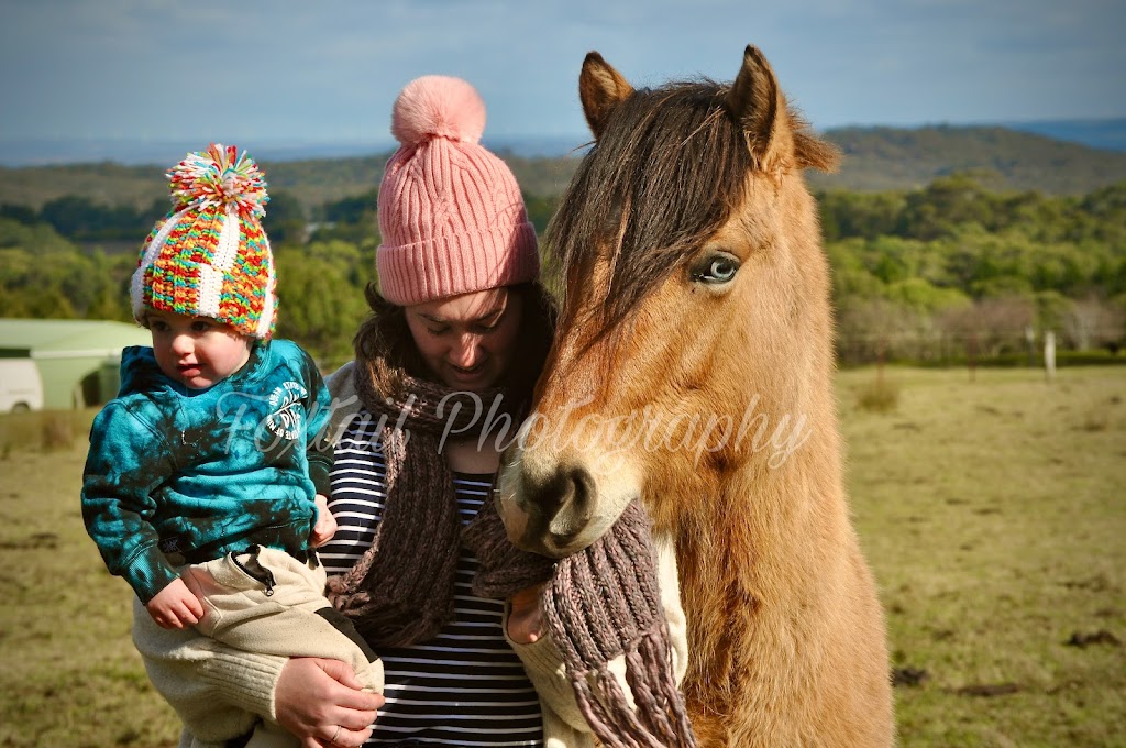 Ballybrook Farm | 602 Couangalt Rd, Gisborne VIC 3437, Australia | Phone: 0409 196 110