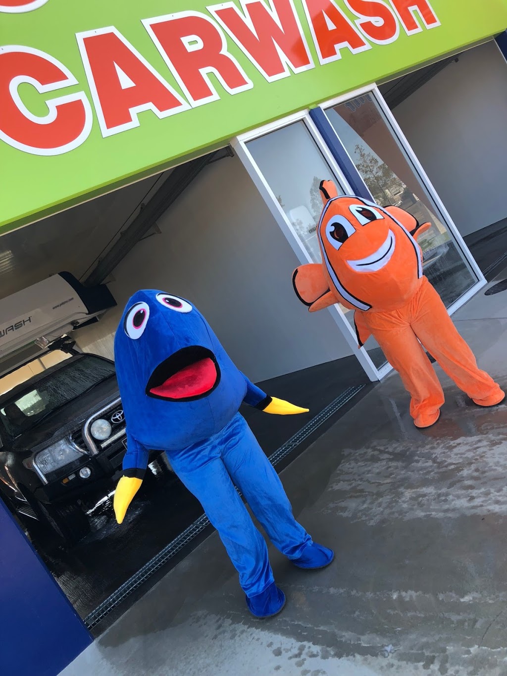 Nemo Car & Dog Wash Jnr | car wash | 61 Johanna Blvd, Kensington QLD 4670, Australia | 0741524817 OR +61 7 4152 4817