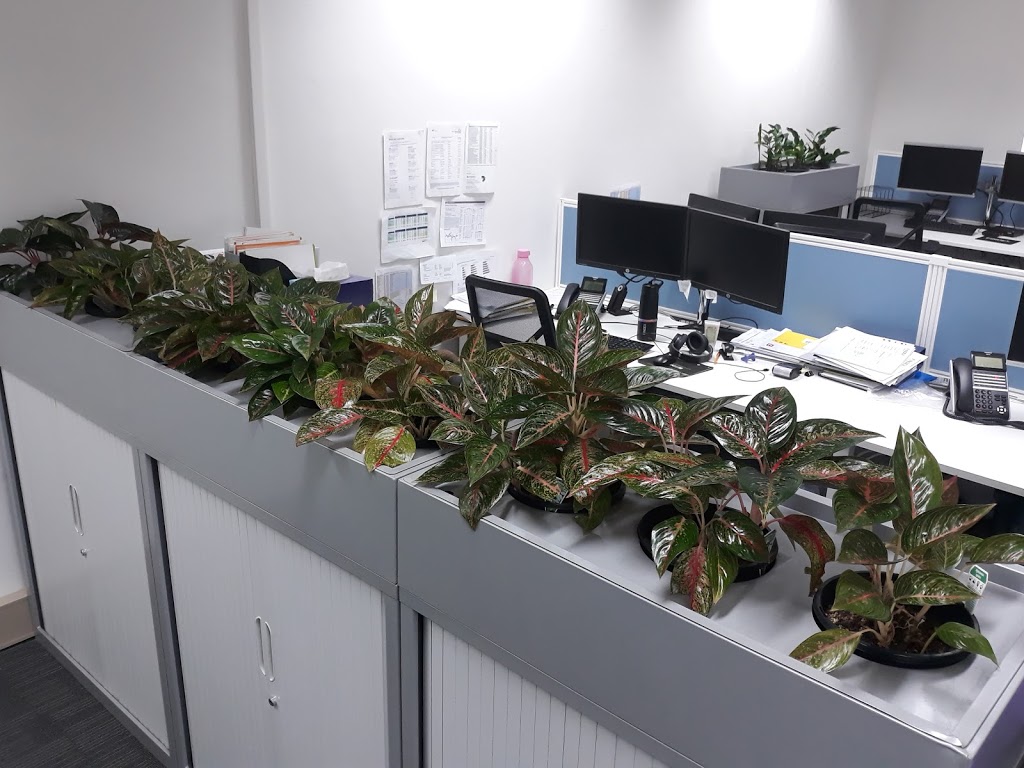 Greenstuff Indoor Plant Hire | 83 Bathampton Rd, Bathurst NSW 2795, Australia | Phone: 0408 635 207