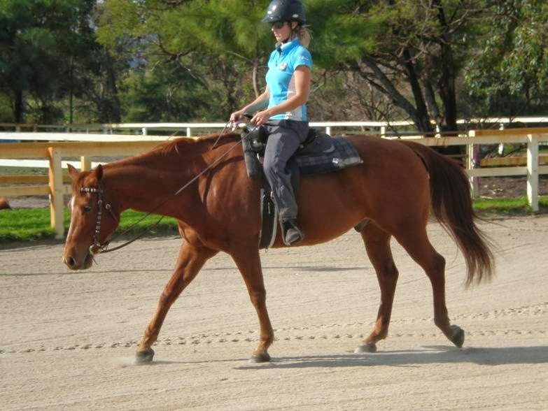 Perth Horse Riding Centre | 73 Twelfth Rd, Perth WA 6112, Australia | Phone: 0418 943 776