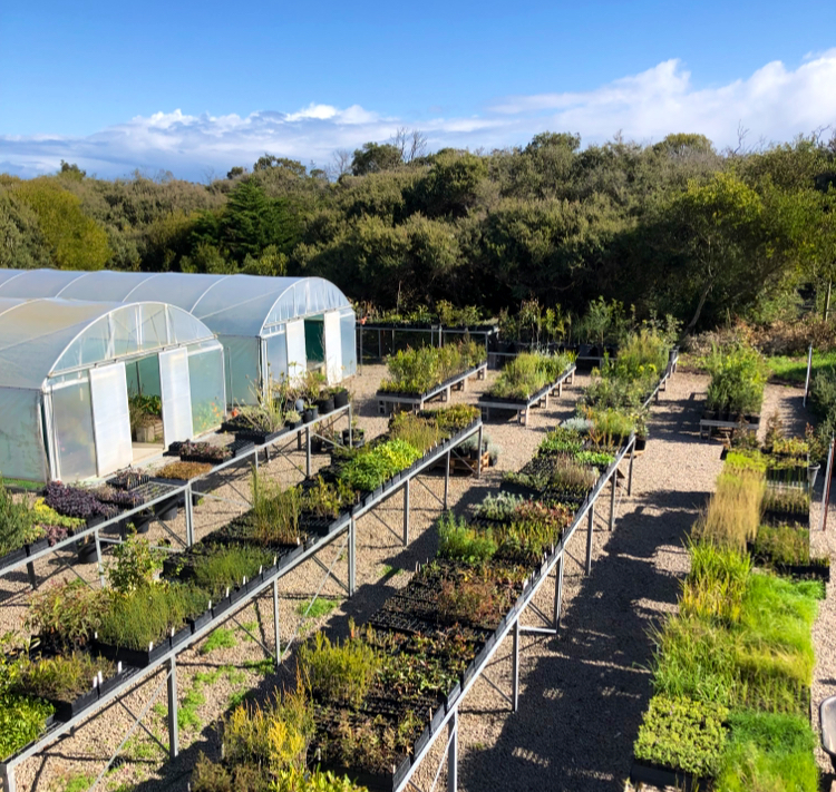 Reforest Australia Bush Nursery | Cape Schanck Rd, Cape Schanck VIC 3939, Australia | Phone: 0450 350 687