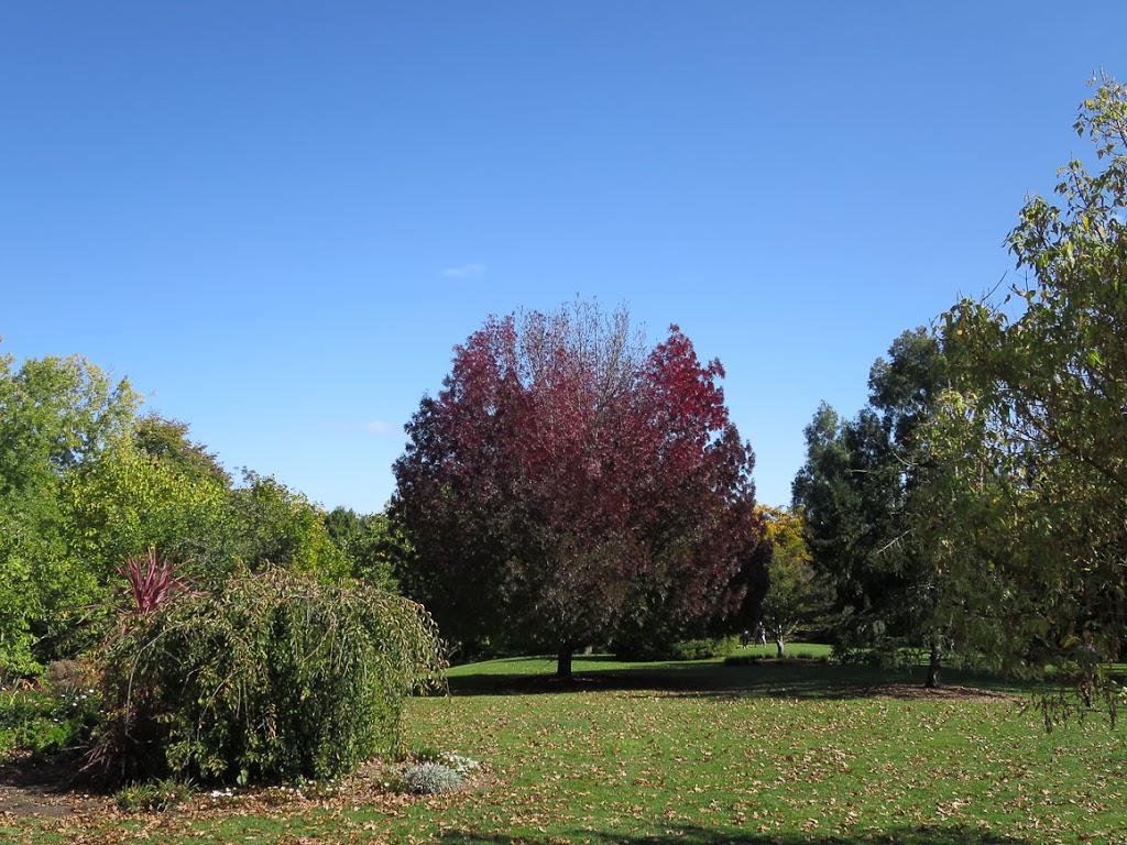 Como Gardens | park | 79 Basin-Olinda Rd, The Basin VIC 3145, Australia | 0397611341 OR +61 3 9761 1341