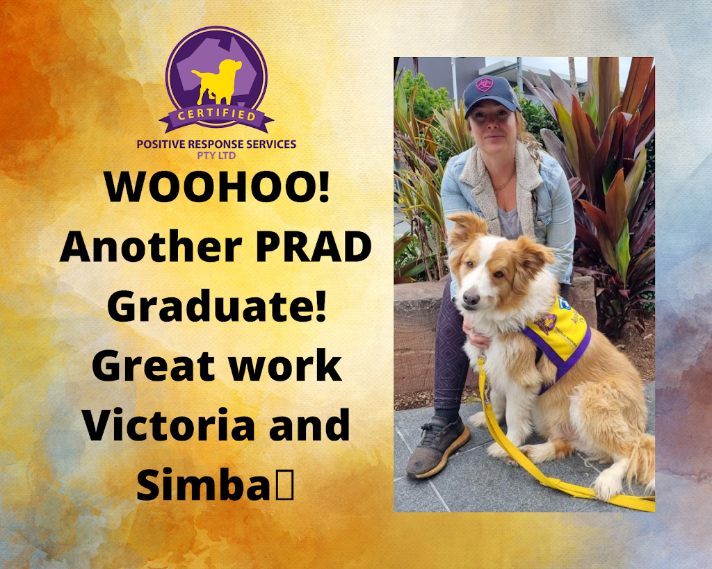 Positive Response Dog Training | 13 Euphemia St, Jimboomba QLD 4280, Australia | Phone: (07) 3459 2121