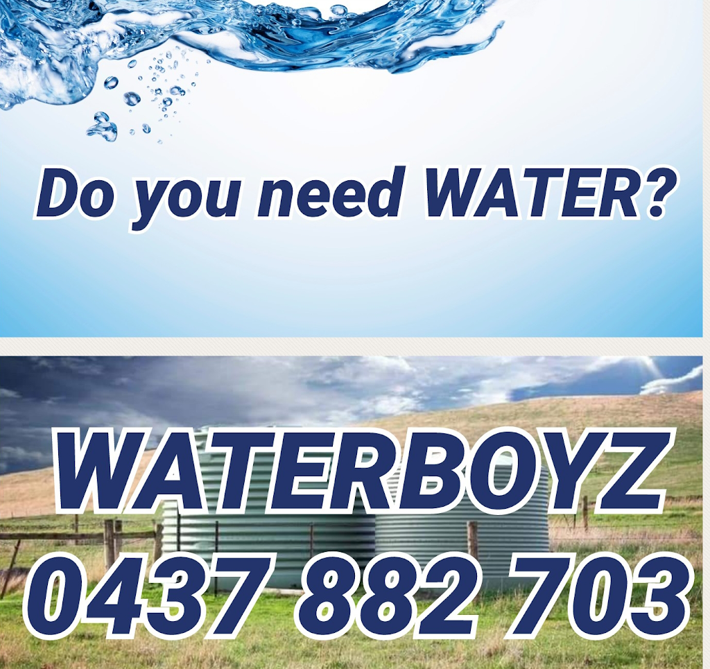 WaterBoyz |  | Ilkley Rd, Tanawha QLD 4556, Australia | 0437882703 OR +61 437 882 703