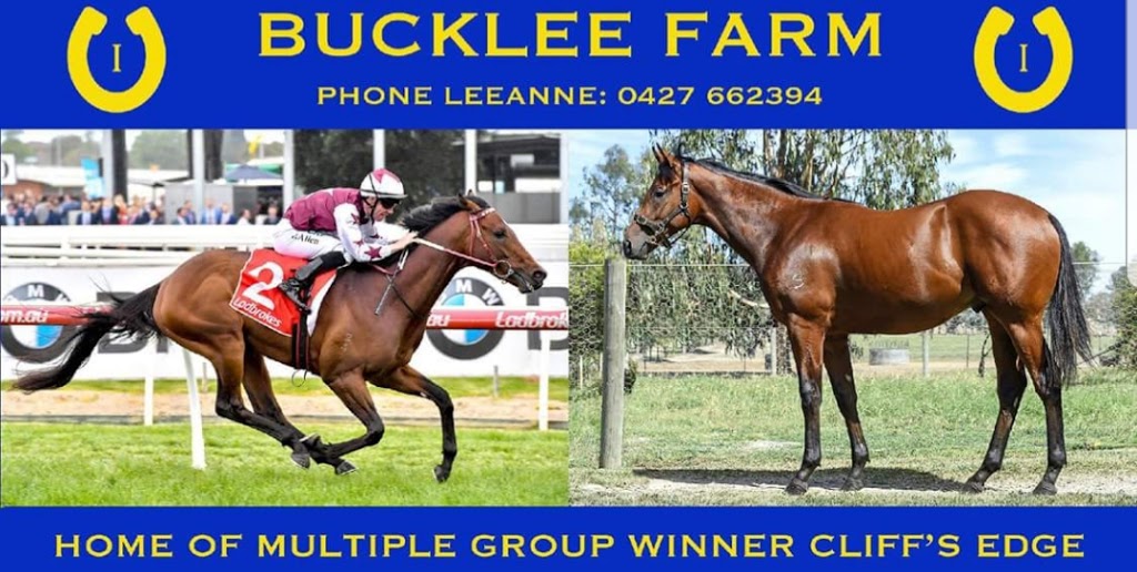 Bucklee Farm | 561 Glenrowan-Moyhu Rd, Greta West VIC 3675, Australia | Phone: 0427 662 394