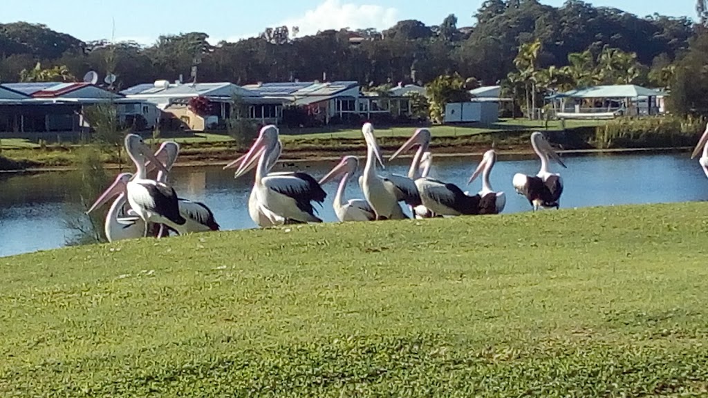 Banksia Waters - Over 50s Lifestyle Community | 192 Piggabeen Rd, Tweed Heads West NSW 2485, Australia | Phone: (02) 8294 8085