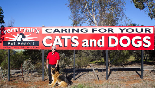 Vern Ryans Pet Resort Check in Center Caulfield | veterinary care | 370 Dandenong Road, Caulfield North VIC 3161, Australia | 0353695236 OR +61 3 5369 5236