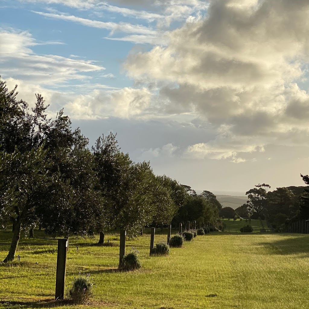 Cape Schanck Olive Estate | 145 Patterson Rd, Cape Schanck VIC 3939, Australia | Phone: (03) 9822 0028