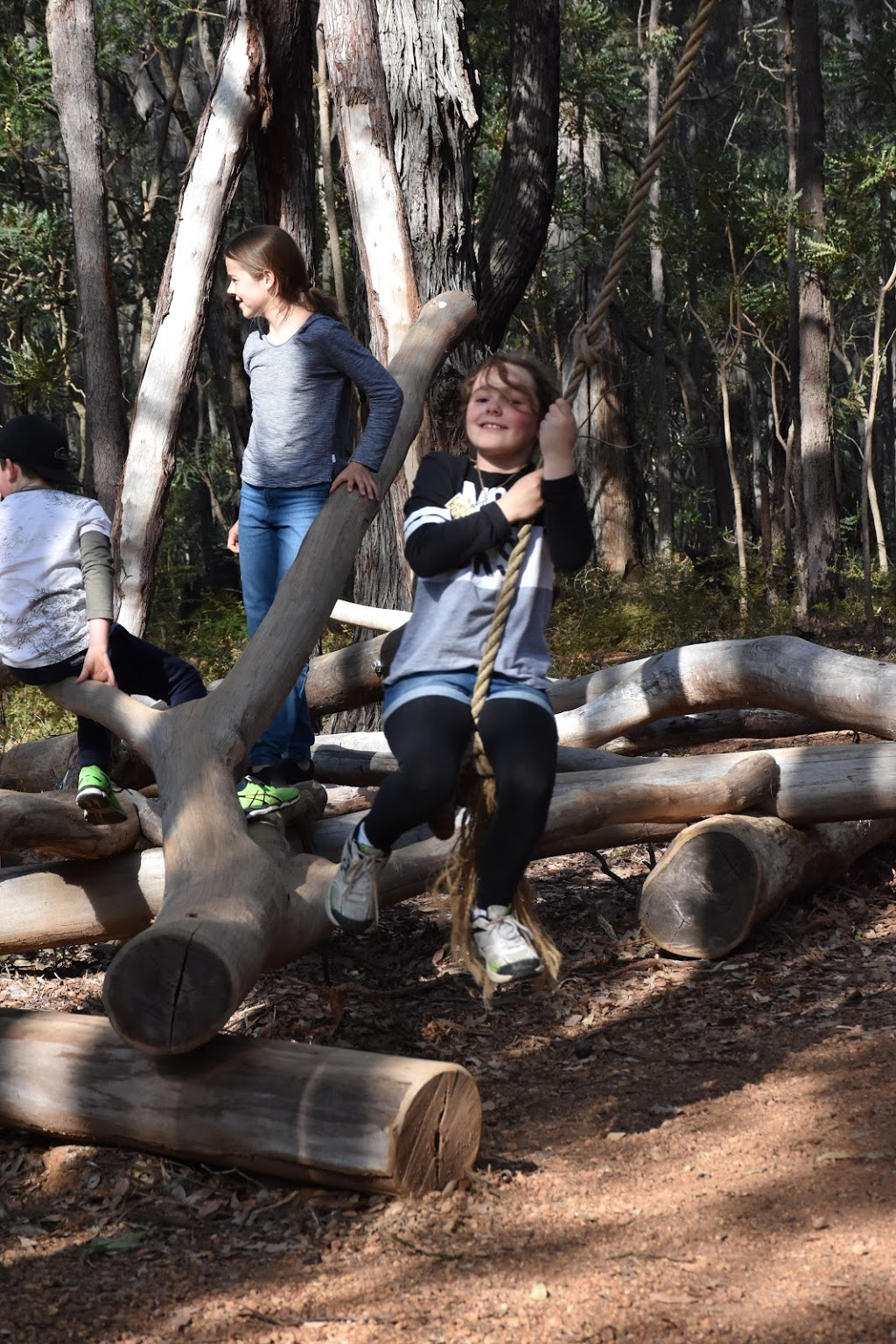 Forest Discovery Centre | 1 Acacia Rd, Dwellingup WA 6213, Australia | Phone: (08) 9538 1395