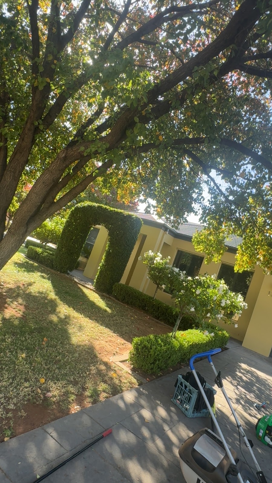 Griffith lawns & removals | 50A Madden Dr, Griffith NSW 2680, Australia | Phone: 0402 496 131