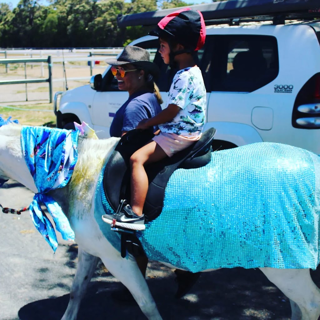 Fantasy Party ponies | 88 Genoli Rd, Quindalup WA 6281, Australia | Phone: 0417 937 637