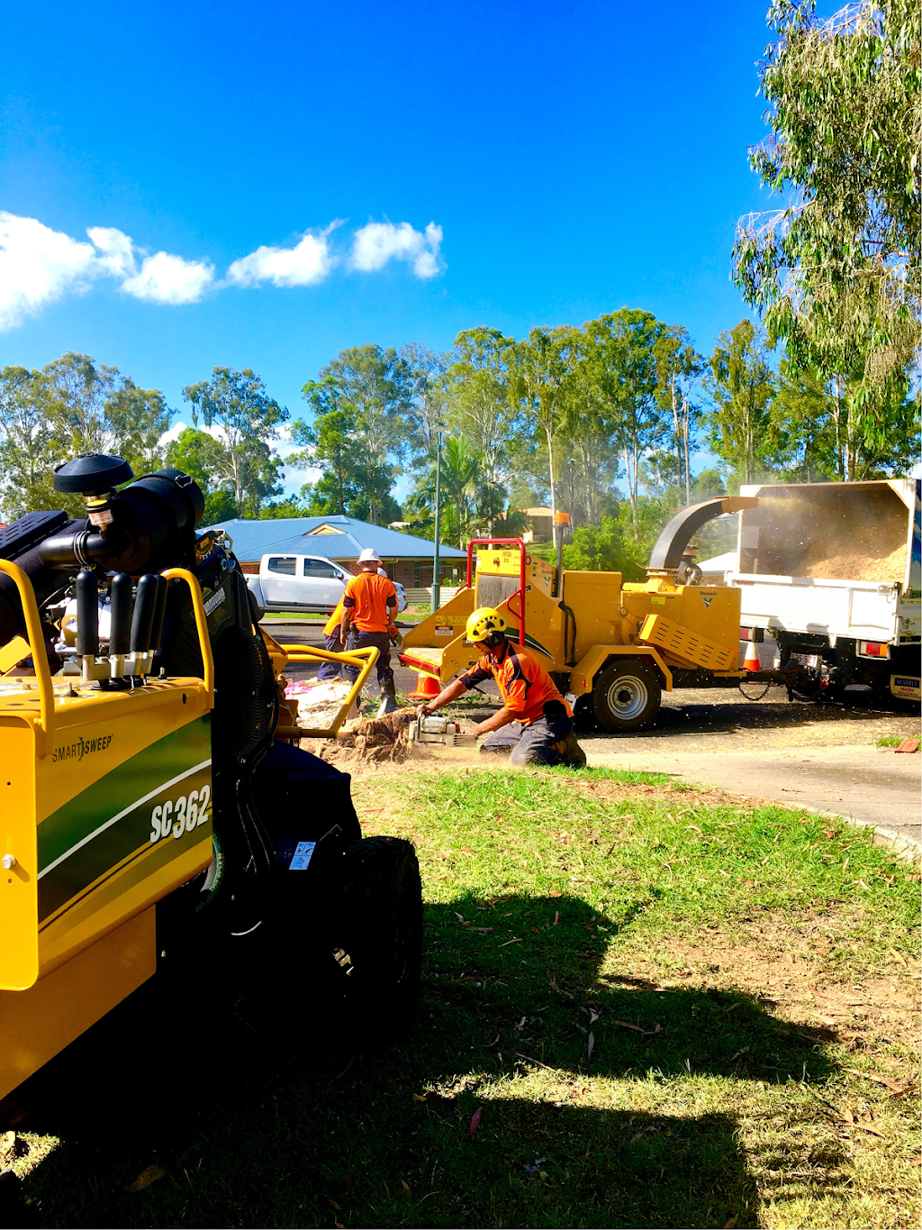 Yeppoon Tree Services | 35 Falcon Crest, Zilzie QLD 4710, Australia | Phone: 0411 748 044