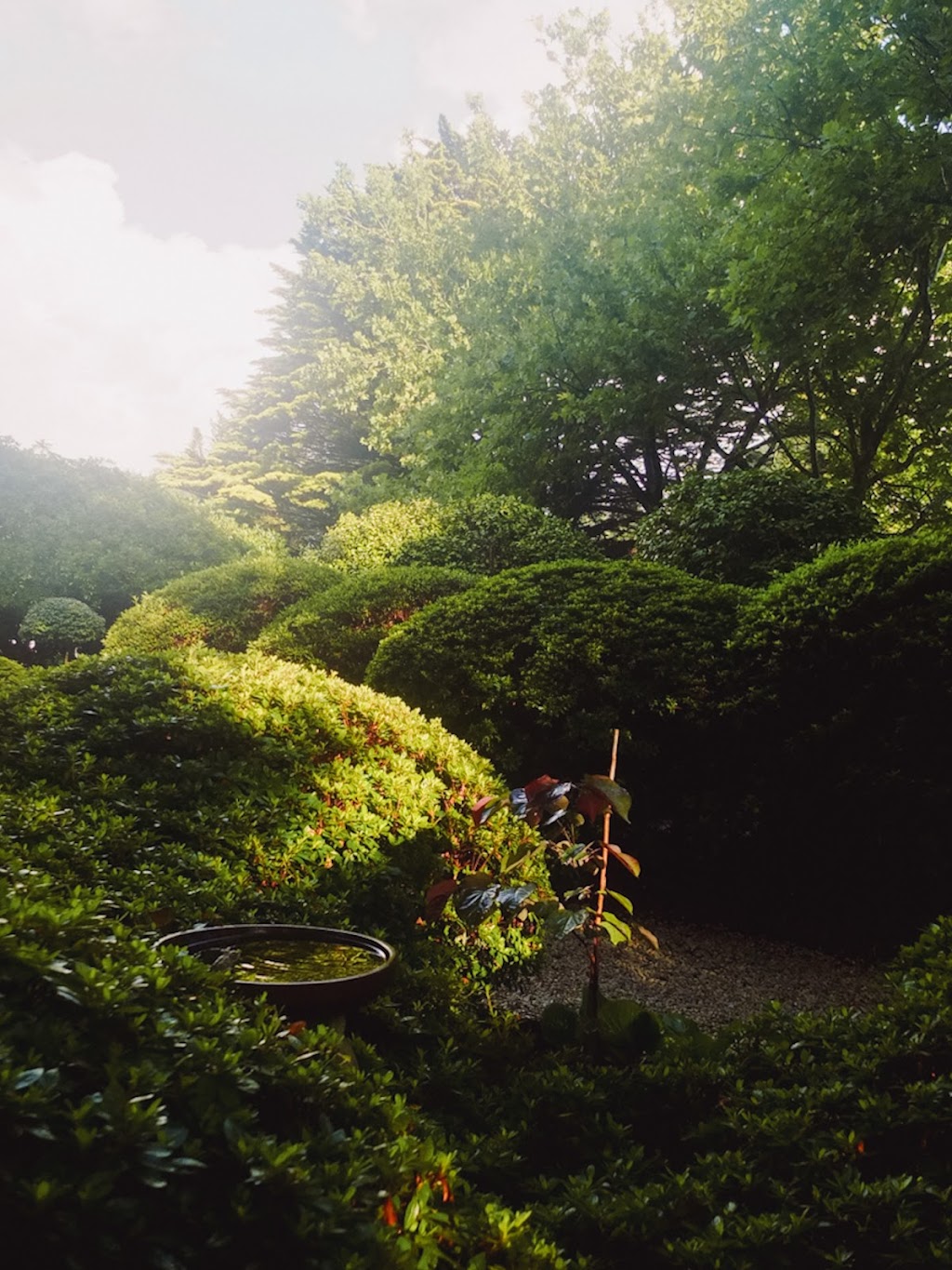 Gardens by Zane | 24 Narrow Neck Rd, Katoomba NSW 2780, Australia | Phone: 0421 888 305