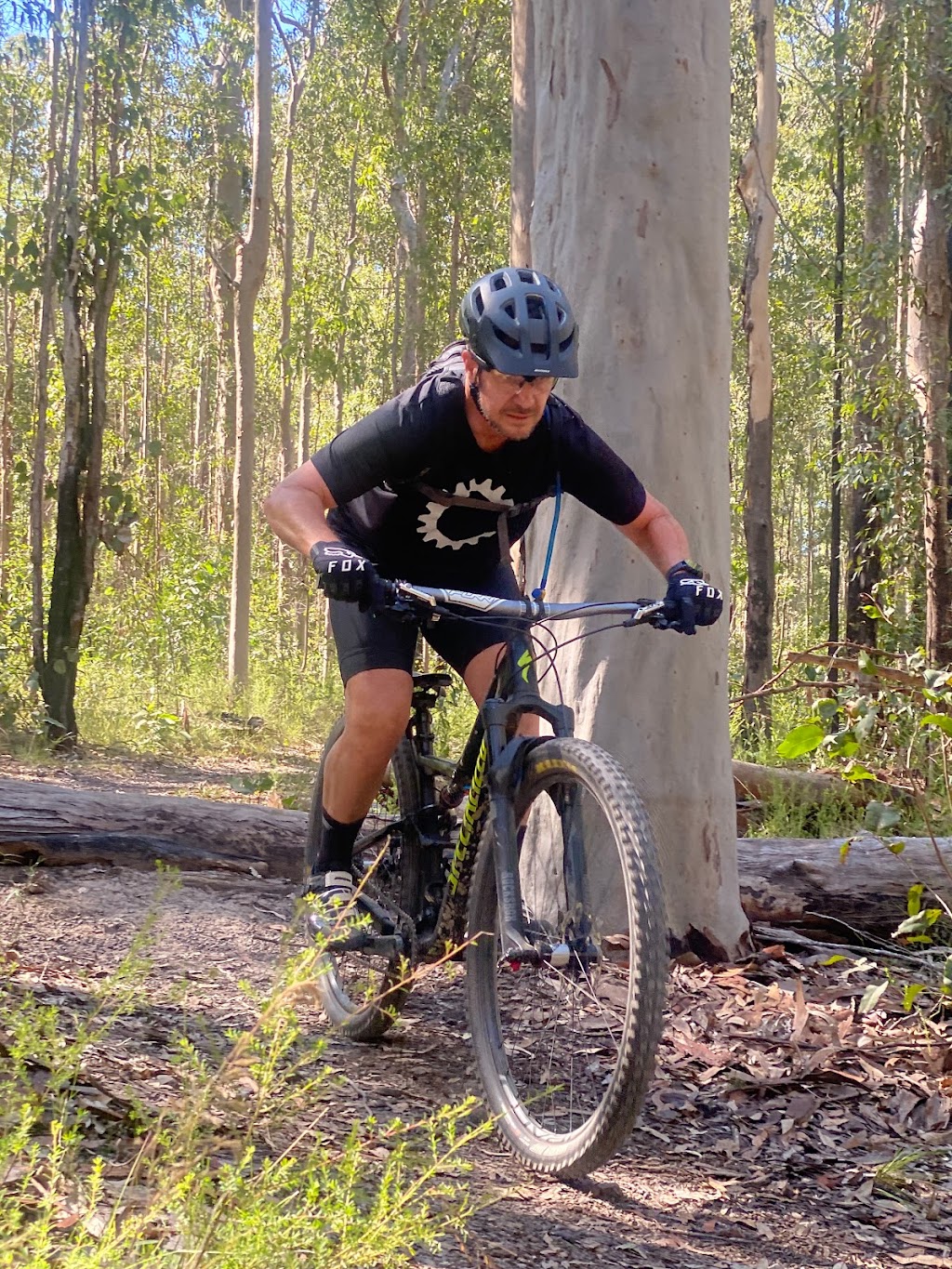 MURWILLUMBAH CYCLES | 1/284 Tweed Valley Way, South Murwillumbah NSW 2484, Australia | Phone: (02) 6672 3620