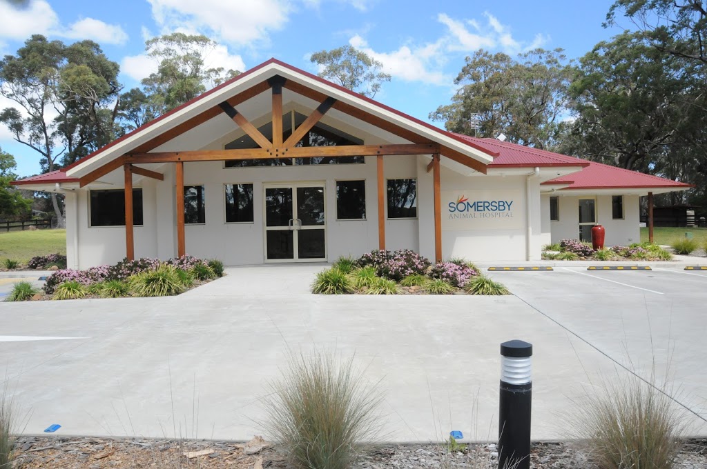 Somersby Animal Hospital | veterinary care | 79-b Howes Rd, Somersby NSW 2250, Australia | 0243721799 OR +61 2 4372 1799