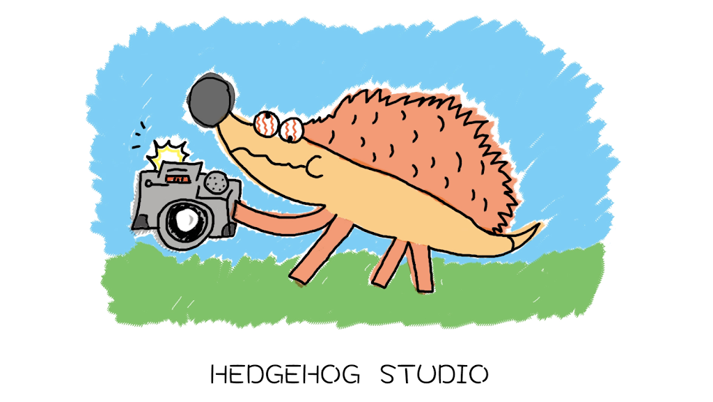 Hedgehog Studio |  | 5 Wrixon St, Kew VIC 3101, Australia | 0450930277 OR +61 450 930 277