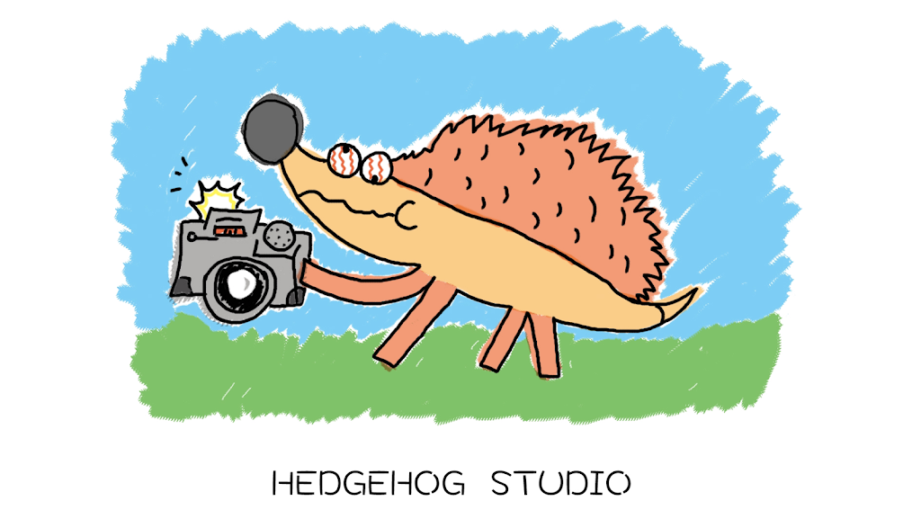 Hedgehog Studio | 5 Wrixon St, Kew VIC 3101, Australia | Phone: 0450 930 277