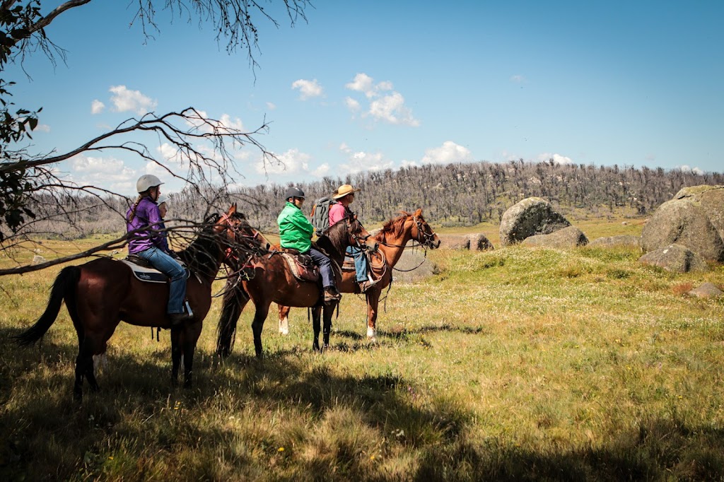 Australian Saddle Safaris | Snowy Mountains Hwy, Adaminaby NSW 2629, Australia | Phone: 0428 130 093