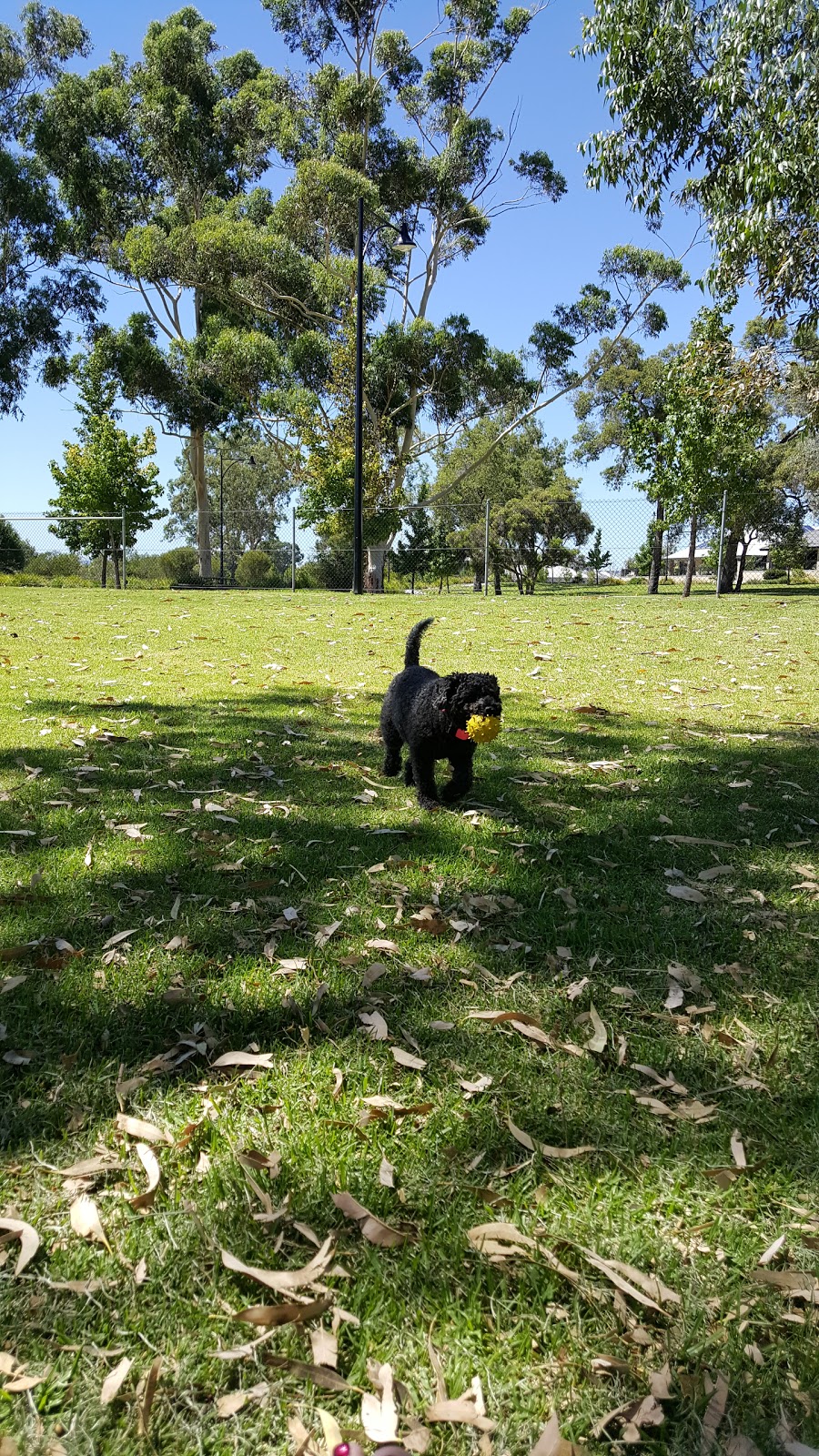 Aveley Dog Park | park | 9 Viridian Blvd, Aveley WA 6069, Australia