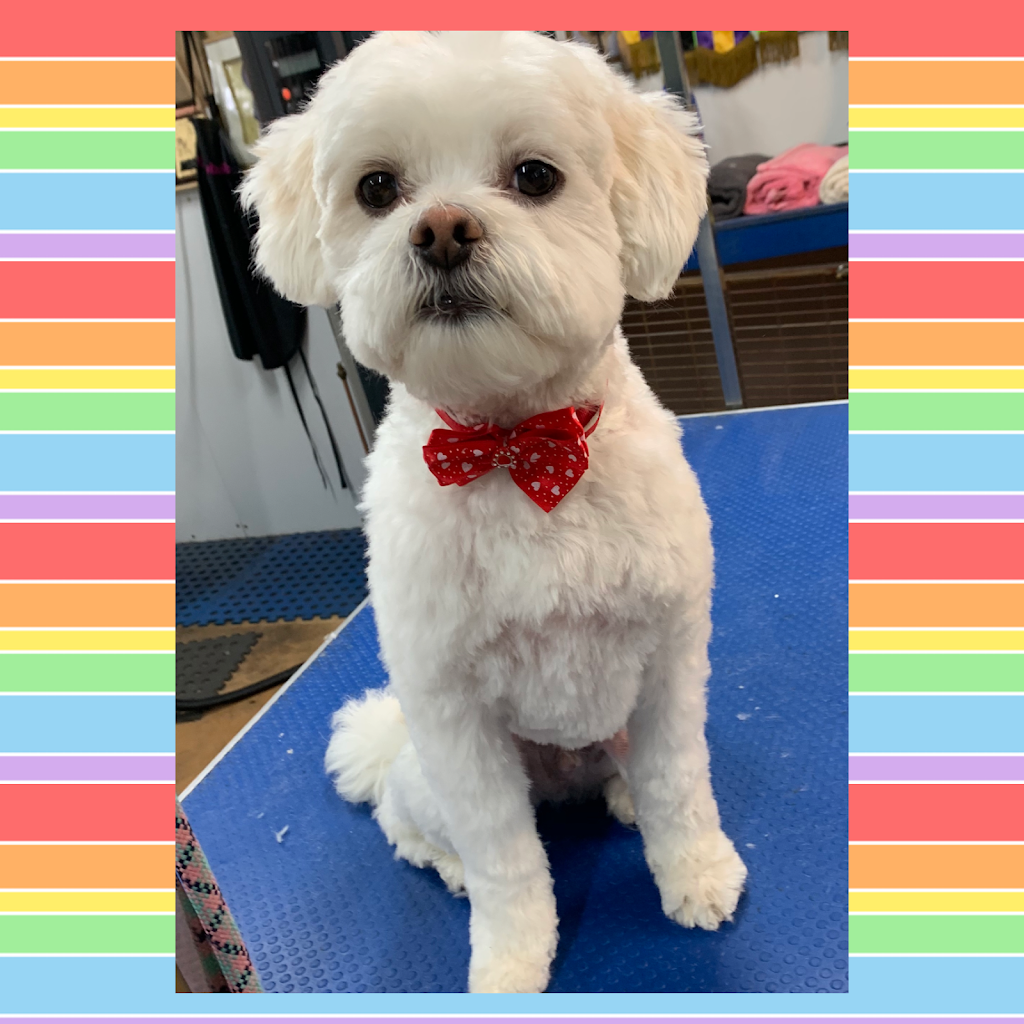 Shannon Canine Boutique - Dog Grooming |  | 605 Portarlington Rd, Moolap VIC 3224, Australia | 0419612279 OR +61 419 612 279